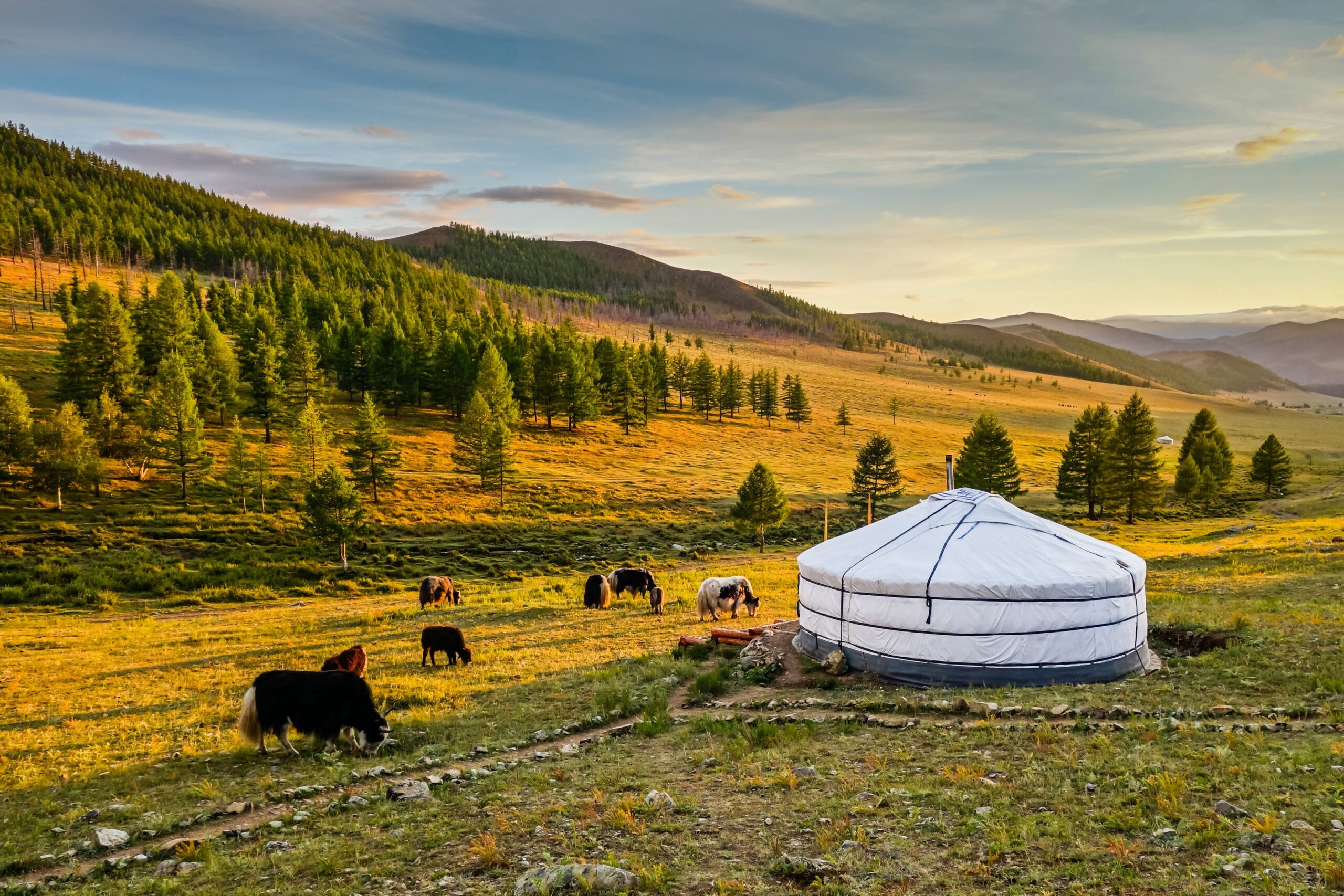 Mongolia vacations