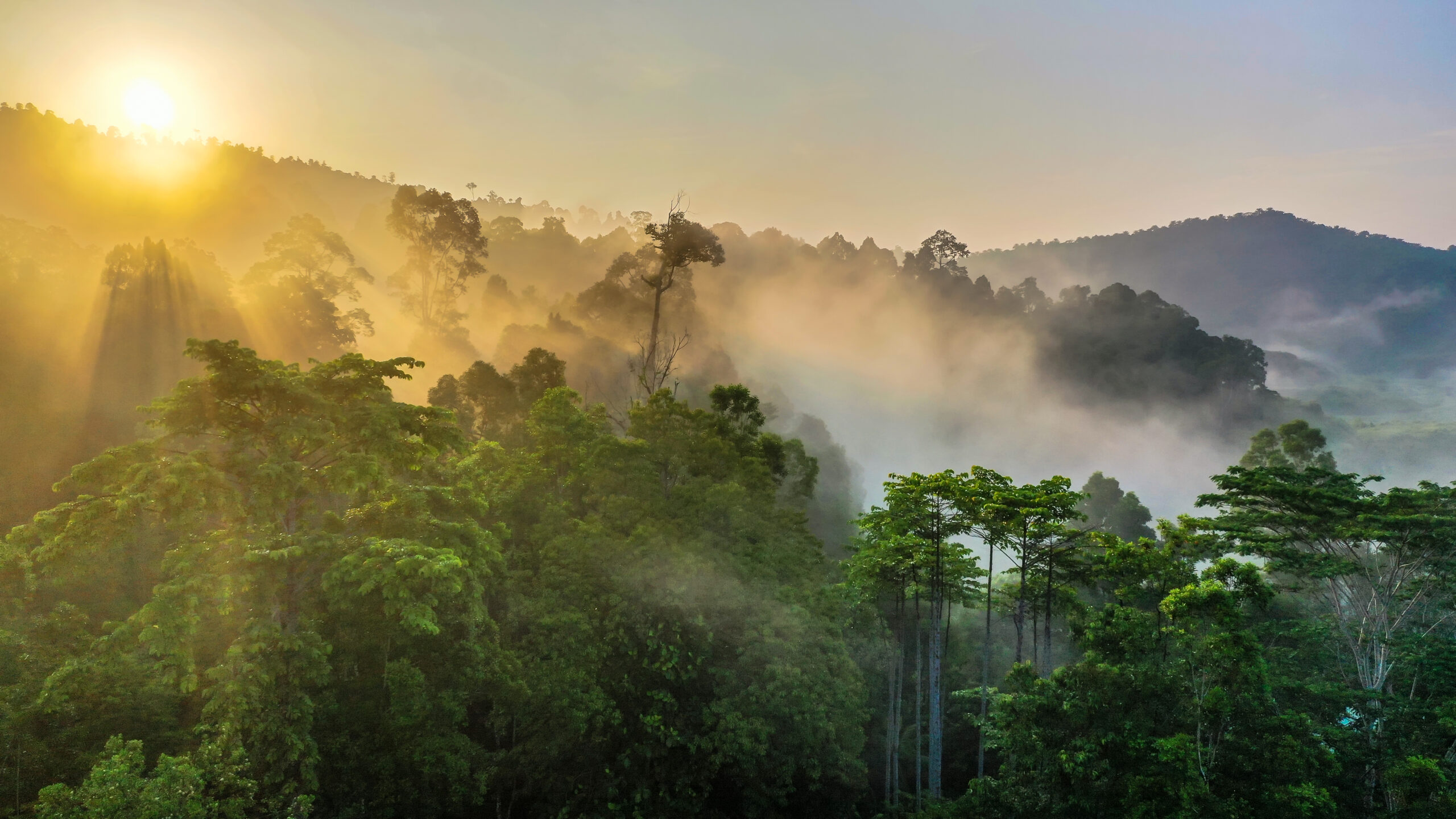 Borneo holidays