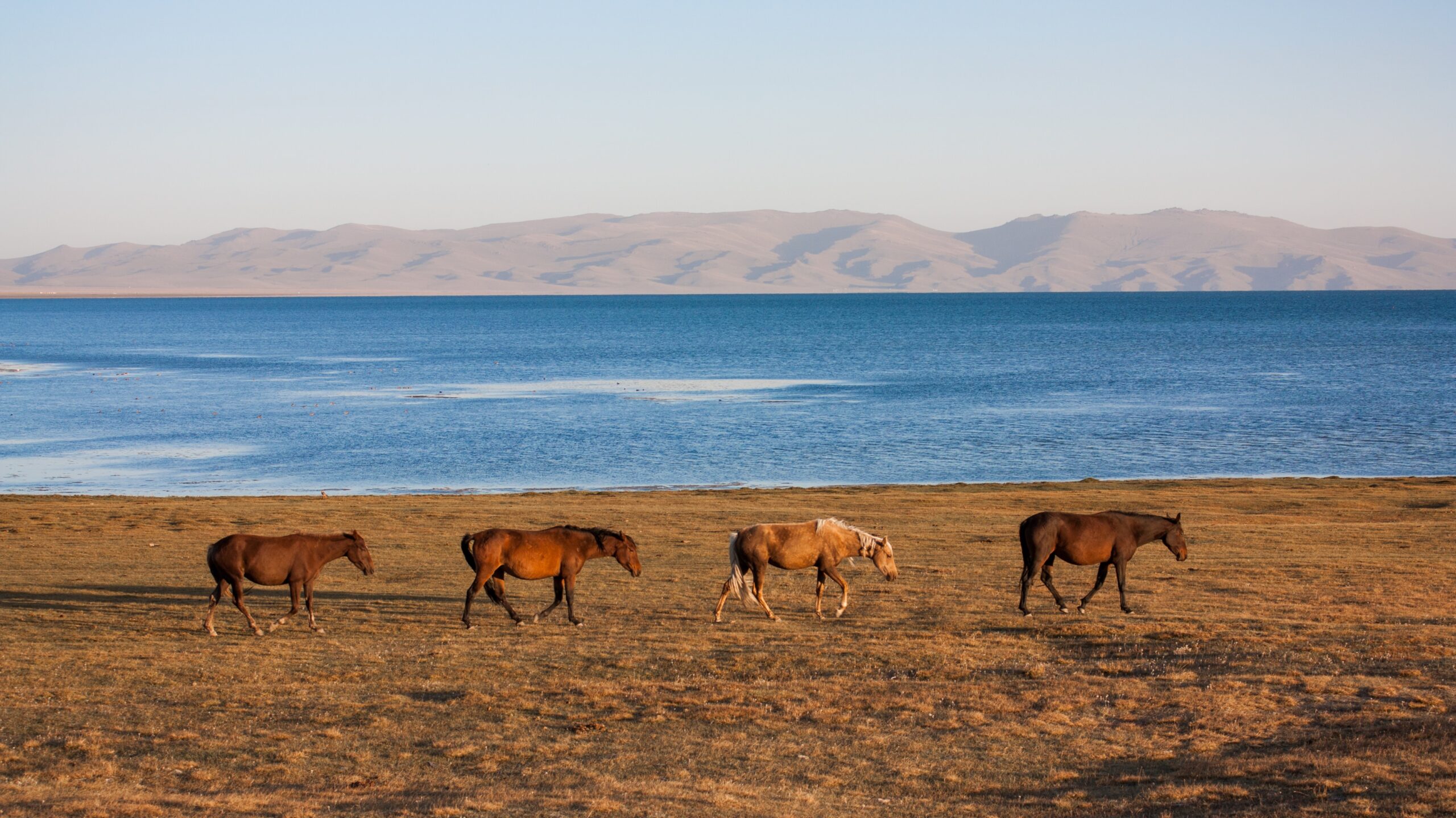 Kyrgyzstan vacations