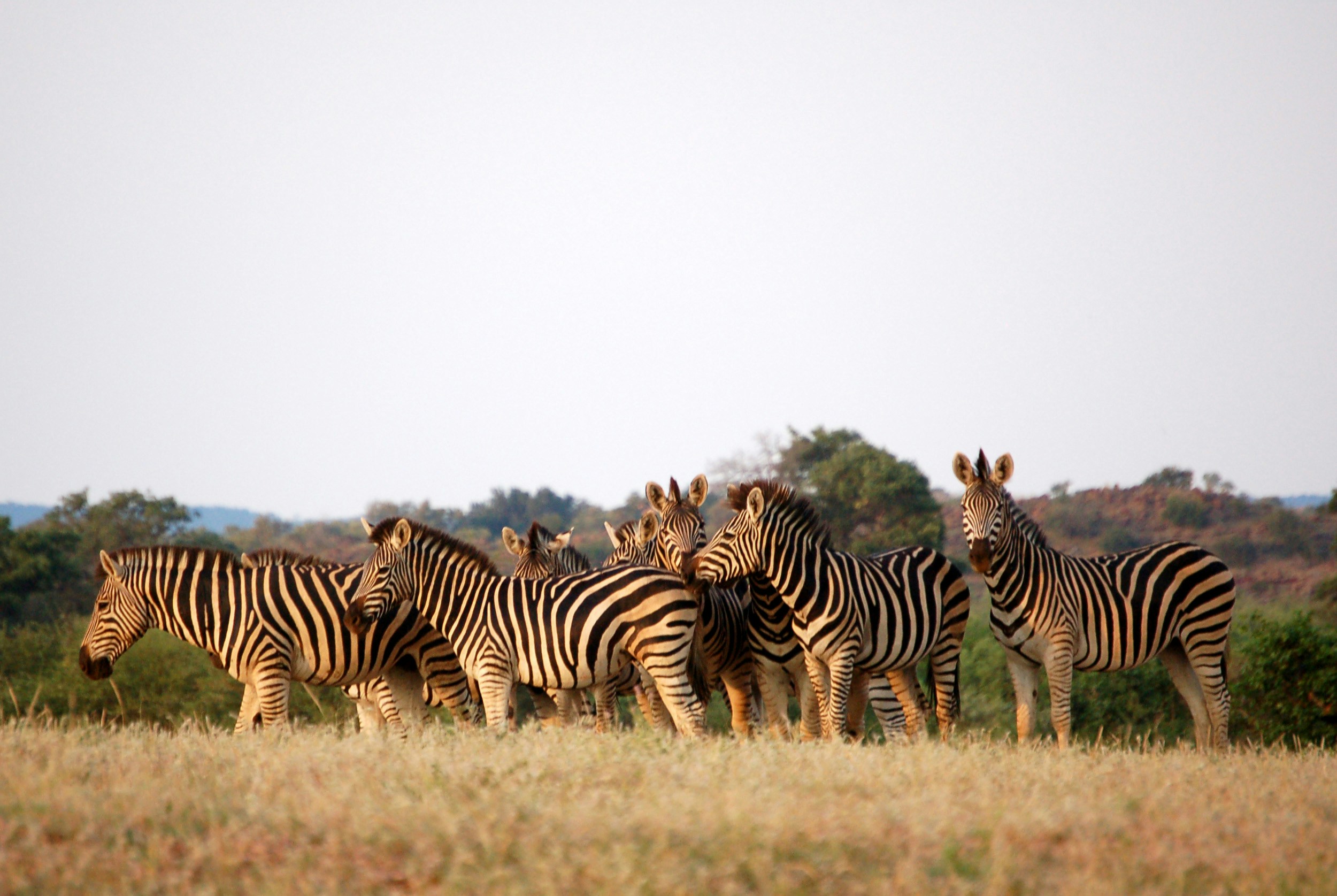 Botswana Rundreisen