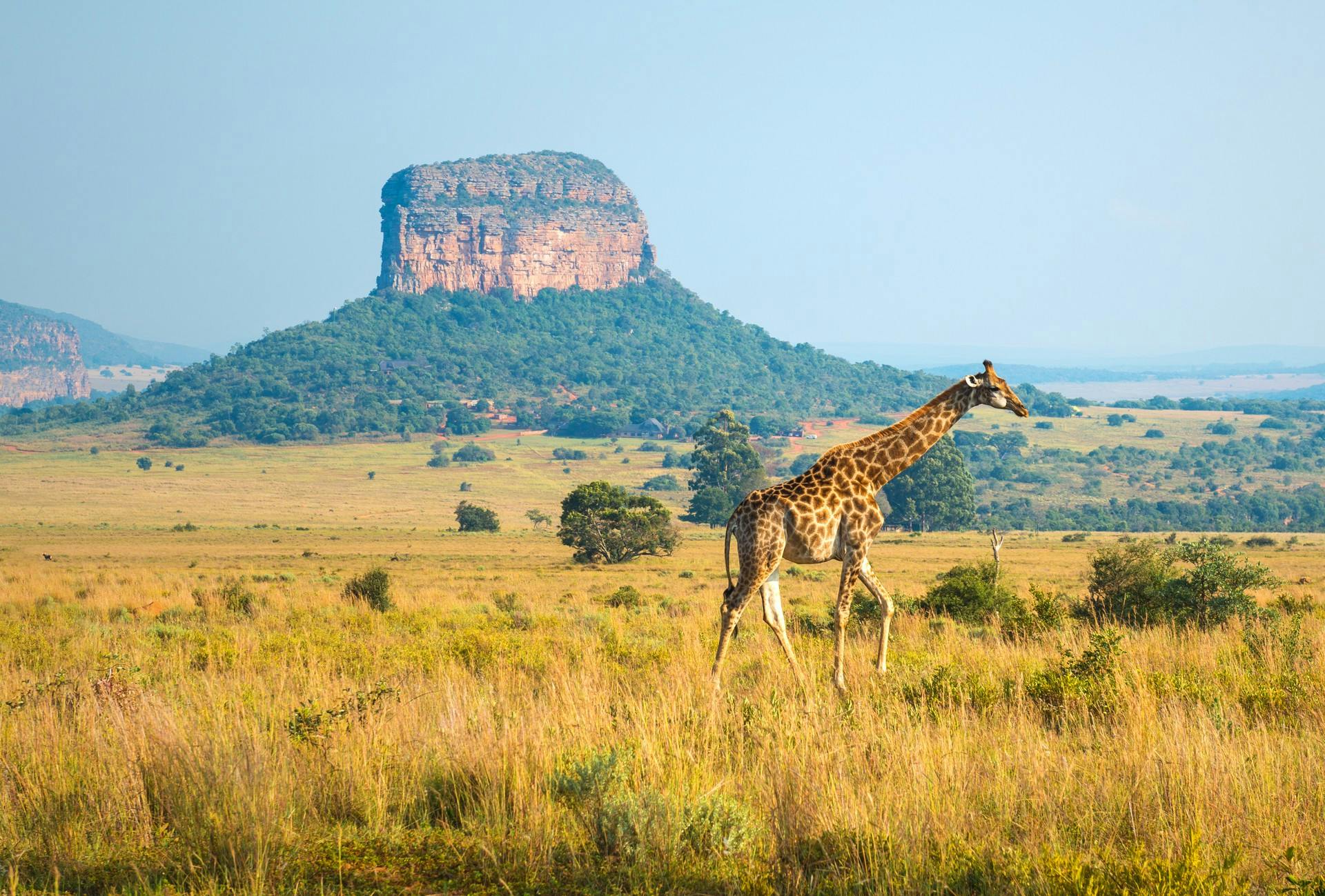 We're reimagining a fairer way to visit Africa